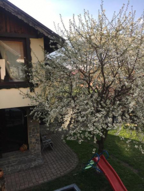 Pensiunea DARMA